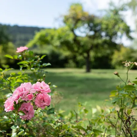 Alte Pfarrhaus Nyaraló