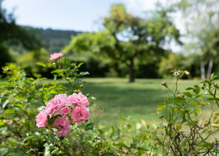 Alte Pfarrhaus Nyaraló